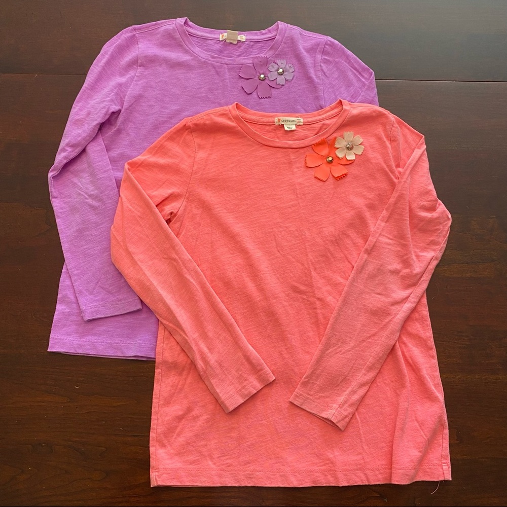 Lot of 2 girls J Crew Crewcuts long sleeved shirts